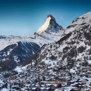 Meet your Posher, Oscar